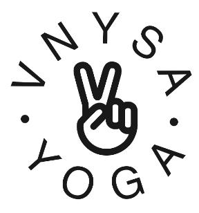 VNYSA's logo